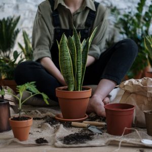 Urban Courtyard Kitchen Gardens