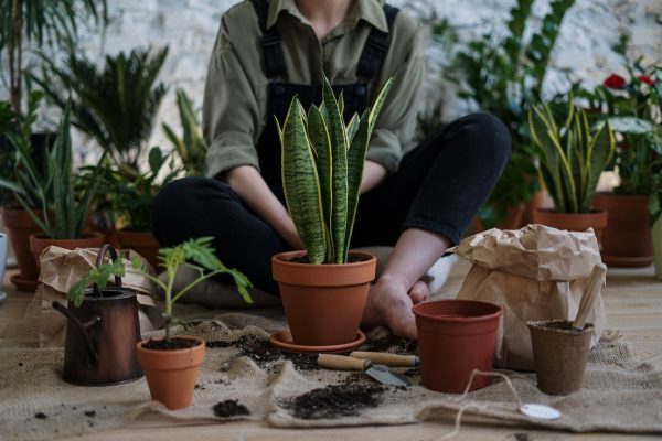Urban Courtyard Kitchen Gardens